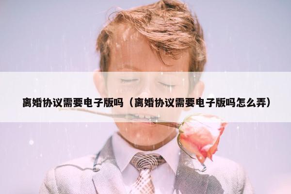 离婚协议需要电子版吗（离婚协议需要电子版吗怎么弄）