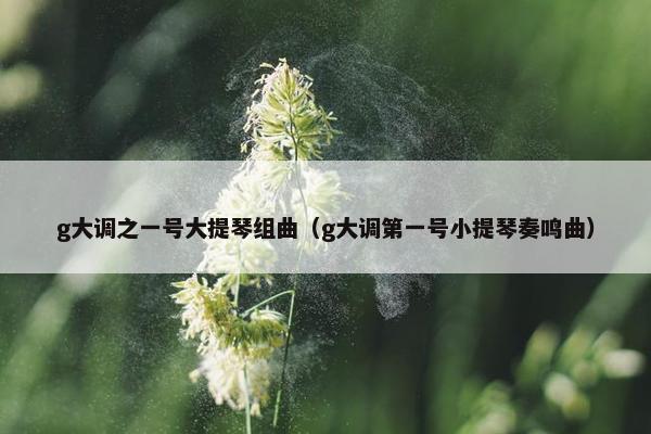g大调之一号大提琴组曲（g大调第一号小提琴奏鸣曲）