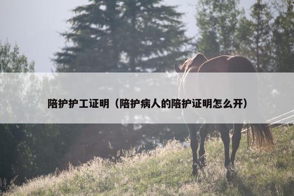 陪护护工证明（陪护病人的陪护证明怎么开）