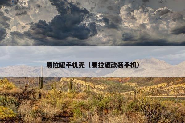 易拉罐手机壳（易拉罐改装手机）