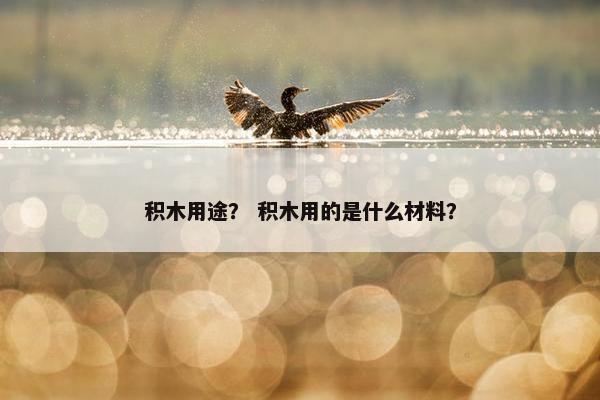 积木用途？ 积木用的是什么材料？