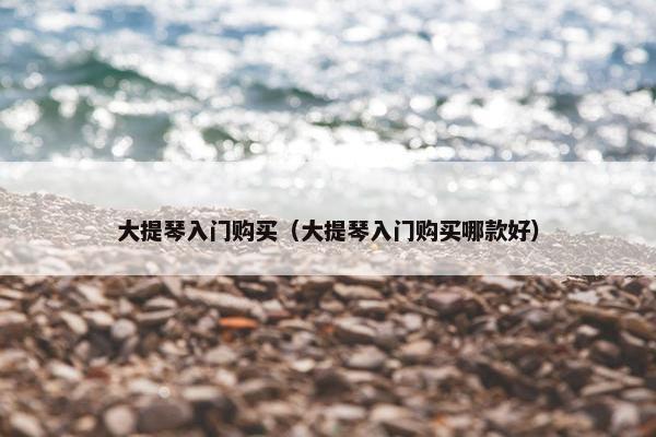 大提琴入门购买（大提琴入门购买哪款好）