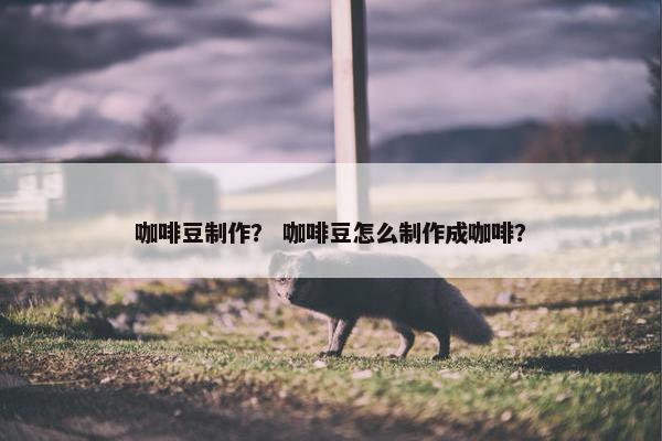 咖啡豆制作？ 咖啡豆怎么制作成咖啡？