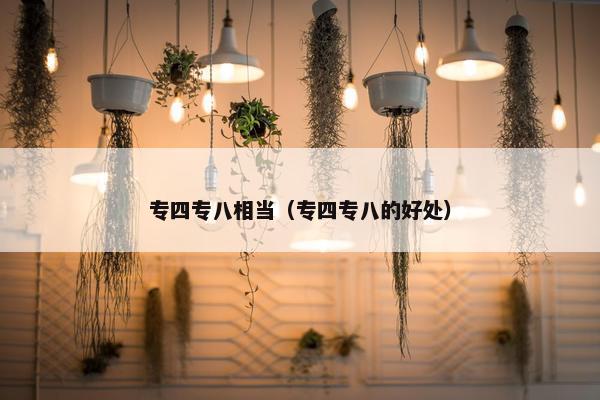 专四专八相当（专四专八的好处）