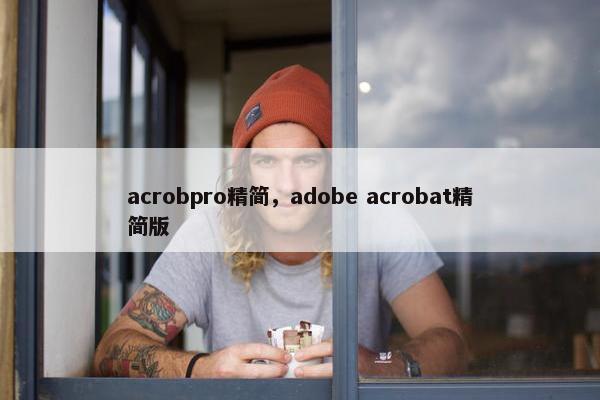 acrobpro精简，adobe acrobat精简版