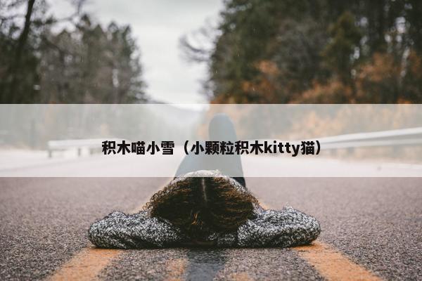 积木喵小雪（小颗粒积木kitty猫）