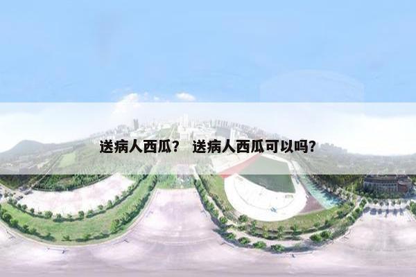 送病人西瓜？ 送病人西瓜可以吗？