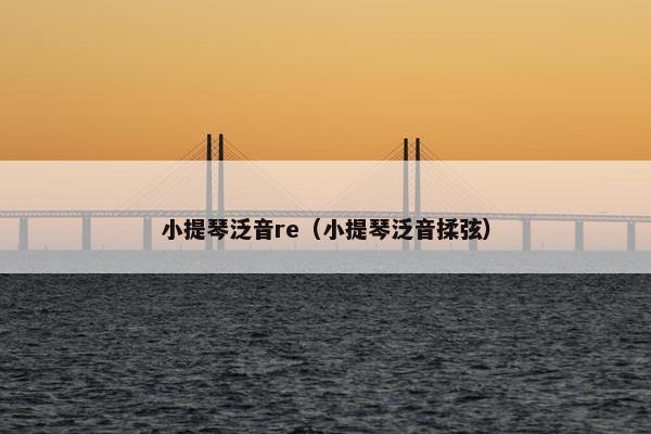 小提琴泛音re（小提琴泛音揉弦）