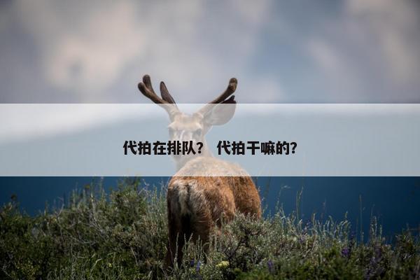 代拍在排队？ 代拍干嘛的？