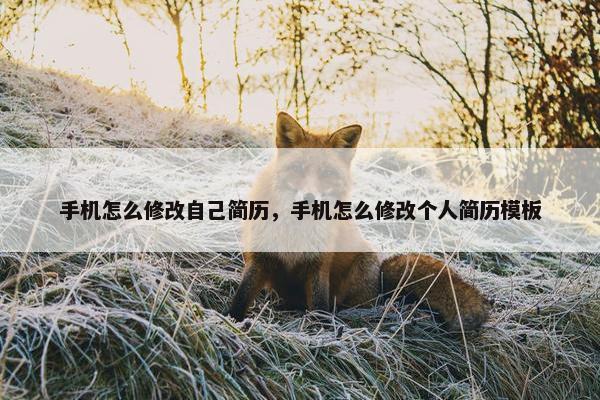手机怎么修改自己简历，手机怎么修改个人简历模板
