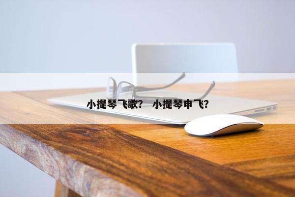 小提琴飞歌？ 小提琴申飞？