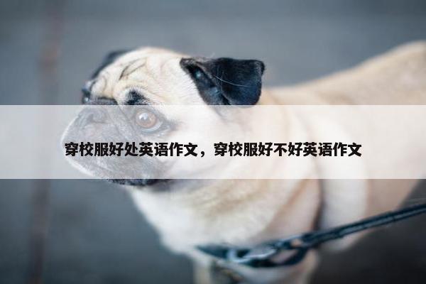 穿校服好处英语作文，穿校服好不好英语作文