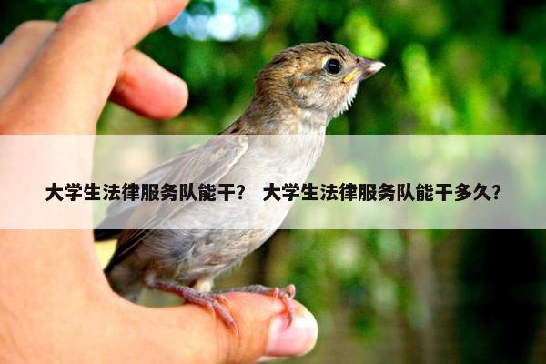 大学生法律服务队能干？ 大学生法律服务队能干多久？