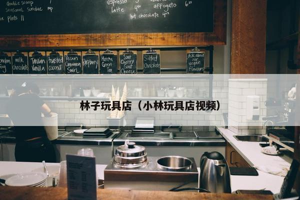 林子玩具店（小林玩具店视频）