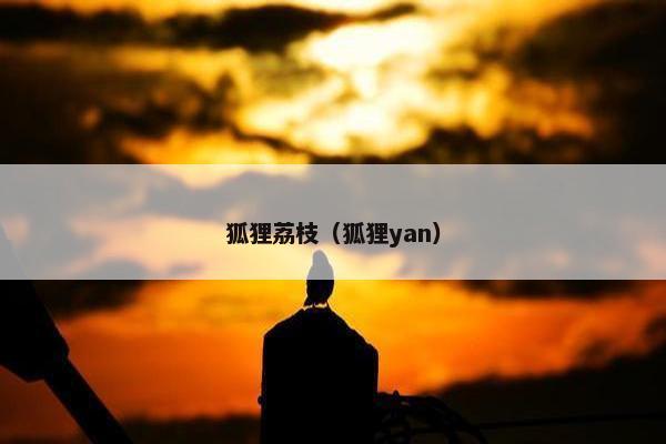 狐狸荔枝（狐狸yan）