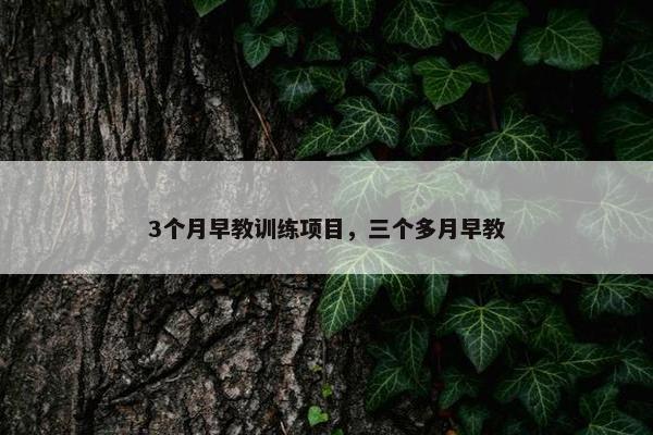 3个月早教训练项目，三个多月早教