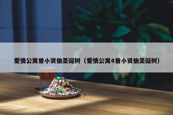 爱情公寓曾小贤偷圣诞树（爱情公寓4曾小贤偷圣诞树）