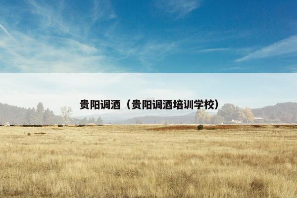 贵阳调酒（贵阳调酒培训学校）
