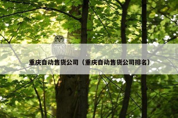 重庆自动售货公司（重庆自动售货公司排名）