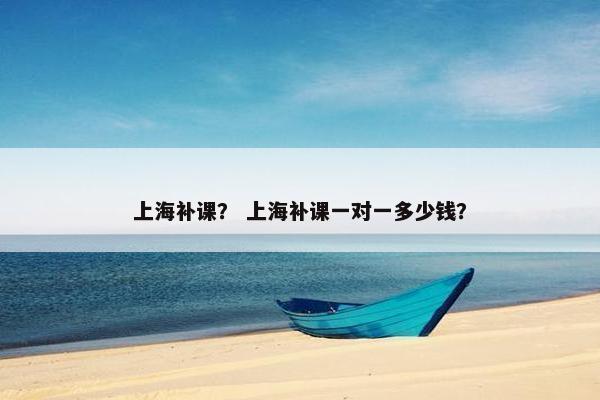 上海补课？ 上海补课一对一多少钱？