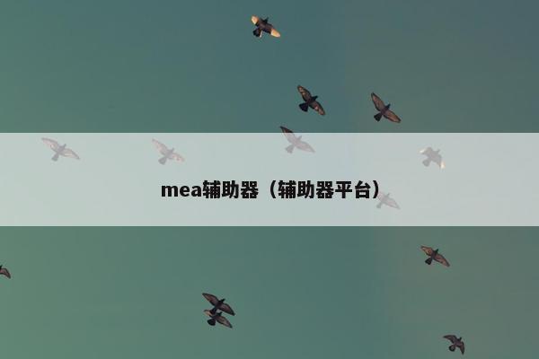 mea辅助器（辅助器平台）