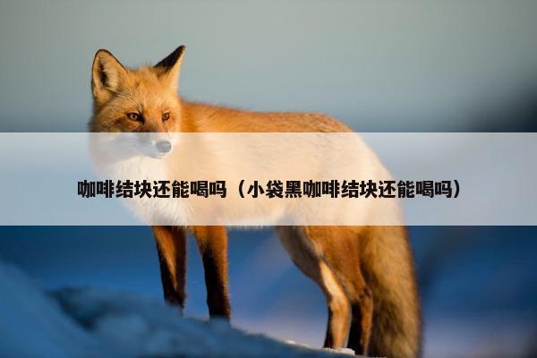 咖啡结块还能喝吗（小袋黑咖啡结块还能喝吗）