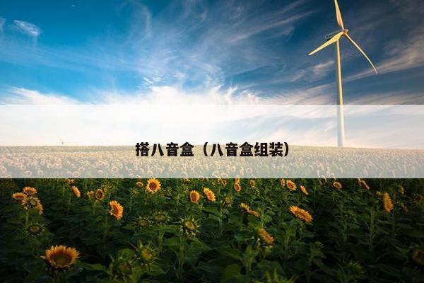 搭八音盒（八音盒组装）