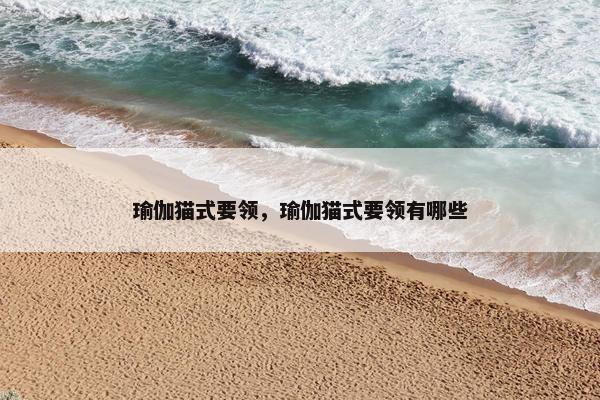 瑜伽猫式要领，瑜伽猫式要领有哪些