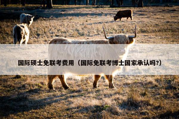 国际硕士免联考费用（国际免联考博士国家承认吗?）