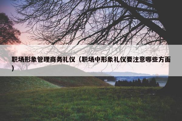 职场形象管理商务礼仪（职场中形象礼仪要注意哪些方面）