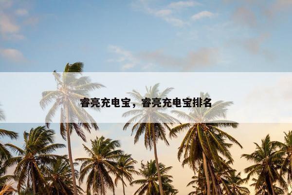 睿亮充电宝，睿亮充电宝排名