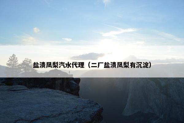 盐渍凤梨汽水代理（二厂盐渍凤梨有沉淀）
