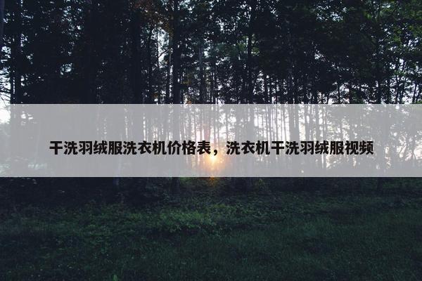 干洗羽绒服洗衣机价格表，洗衣机干洗羽绒服视频