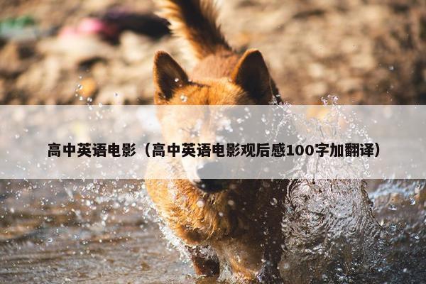 高中英语电影（高中英语电影观后感100字加翻译）